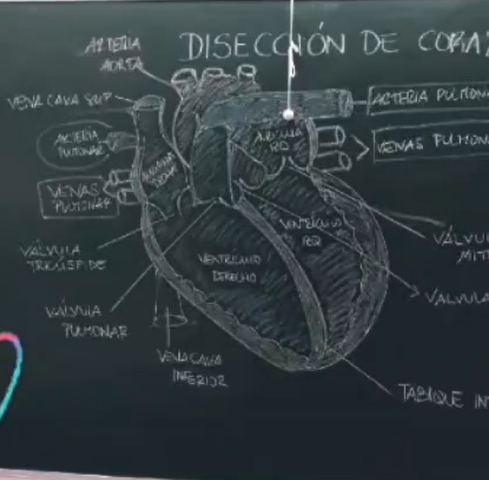 4-eso.png