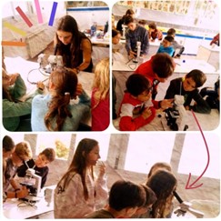 P6.jpg